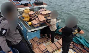 img_20251202_120950586